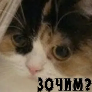 Sticker Больше стикеров: @sticerru - 2