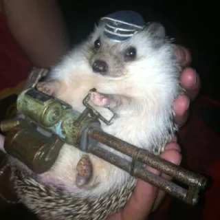 Sticker 50 оттенков ежей - 1