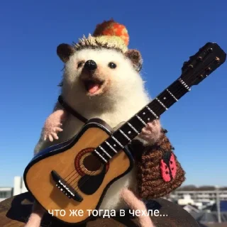 Sticker 50 оттенков ежей - 9