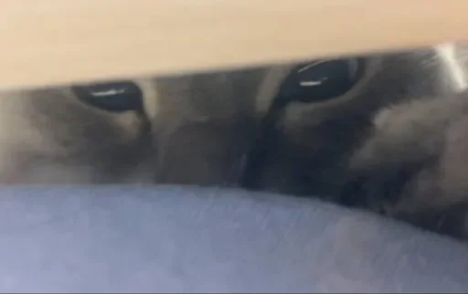 Стикер ekeksjsnjsiw_by_TgEmojiBot - 1