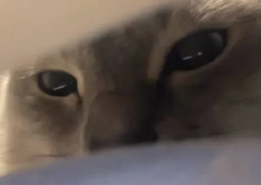 Sticker ekeksjsnjsiw_by_TgEmojiBot - 1