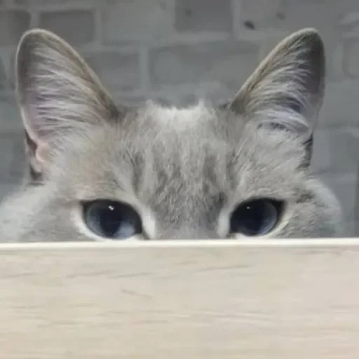 Стикер ekeksjsnjsiw_by_TgEmojiBot - 1