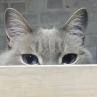 Стикер УХХВХВХВХВХВ @TgEmojiBot - 6