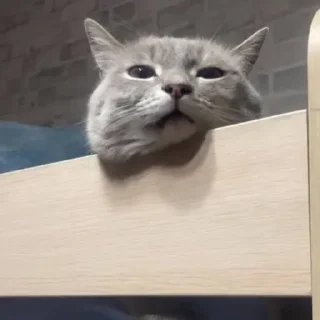 Стикер УХХВХВХВХВХВ @TgEmojiBot - 7