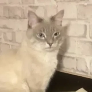 Стикер УХХВХВХВХВХВ @TgEmojiBot - 2