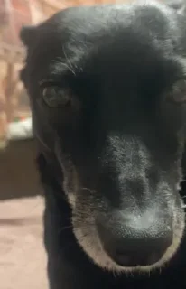 Стикер УХХВХВХВХВХВ @TgEmojiBot - 3