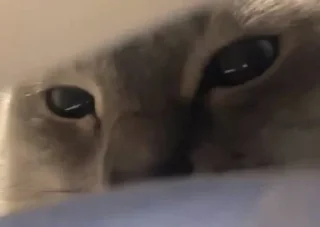 Стикер УХХВХВХВХВХВ @TgEmojiBot - 10