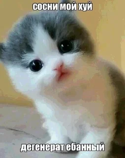 Стикер набор от ксуси - 2