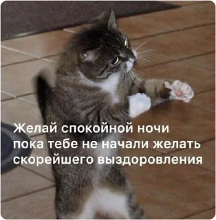 Sticker екстреная новасти - 7