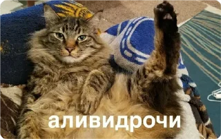 Sticker екстреная новасти - 9