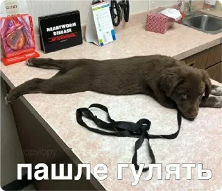 Sticker екстреная новасти - 6