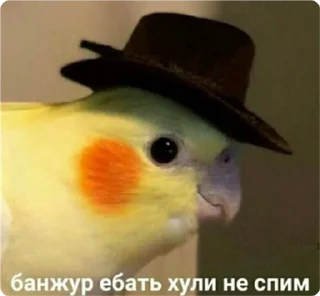 Sticker екстреная новасти - 8