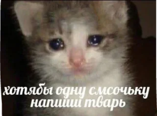 Sticker екстреная новасти - 11