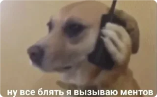 Sticker екстреная новасти - 2