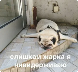 Sticker екстреная новасти - 10