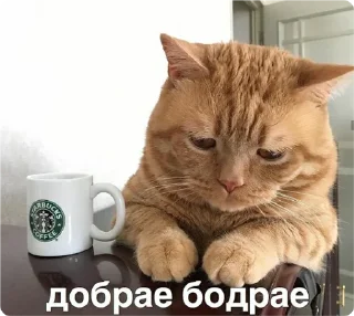 Sticker екстреная новасти - 3