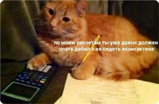 Sticker екстреная новасти - 1