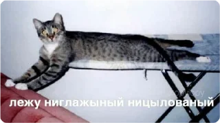 Sticker екстреная новасти - 5