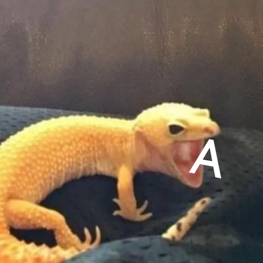 ЭкзоРЫЛО (@neonris) - 