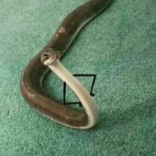 Sticker ЭкзоРЫЛО (@neonris) - 7