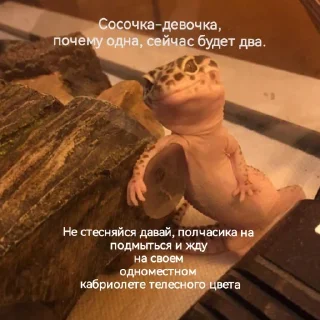 Sticker ЭкзоРЫЛО (@neonris) - 3