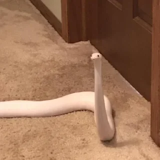 Sticker ЭкзоРЫЛО (@neonris) - 6