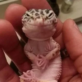 Sticker ЭкзоРЫЛО (@neonris) - 9