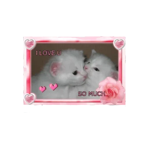 Sticker elKaACi_by_stickers_generator_bot - 1