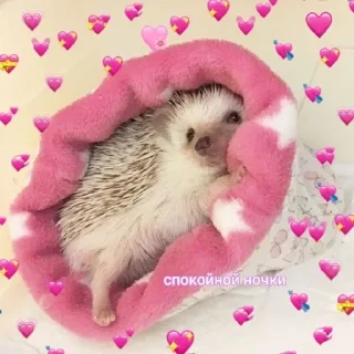 Sticker @stickers_gifs0 :: @stickers_generator_bot - 9