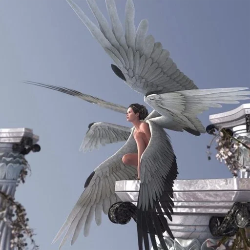 Sticker elegravezde - 1