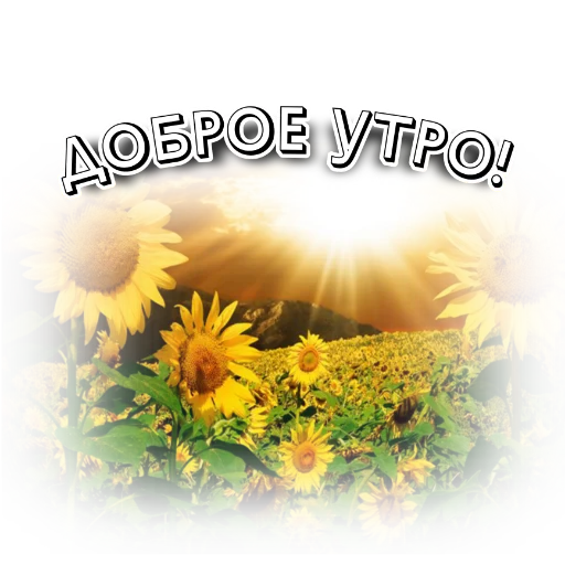 БЛАГОДАРНОСТЬ @elenakyslugam - 