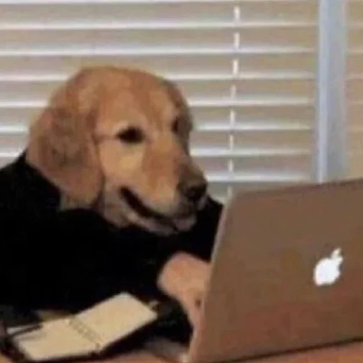 computer laptop indoor