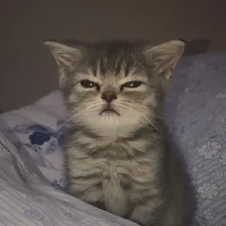 Стикер ̣̇.ෆ˟̑*̑𝖾𝗅𝗂𝗌𝖾˚̑*̑˟̑ෆ.₊̣̇. @flwuers - 7