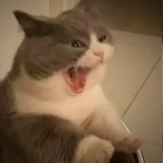 Стикер ̣̇.ෆ˟̑*̑𝖾𝗅𝗂𝗌𝖾˚̑*̑˟̑ෆ.₊̣̇. @flwuers - 0