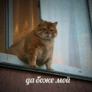 Стикер ̣̇.ෆ˟̑*̑𝖾𝗅𝗂𝗌𝖾˚̑*̑˟̑ෆ.₊̣̇. @flwuers - 3