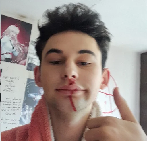 Sticker ellidanio - 1