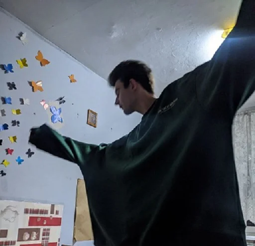 Sticker ellidanio - 1