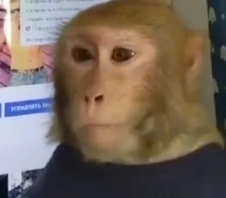 Стикер Mono 2 - 8