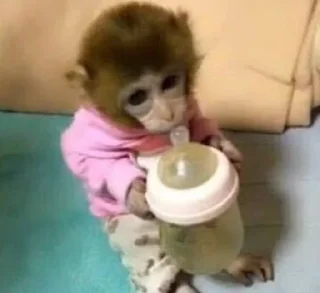 Стикер Mono 2 - 3