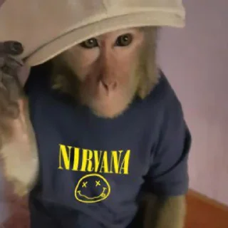 Стикер Mono 2 - 10