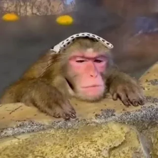 Стикер Mono 2 - 2