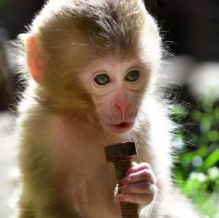 Стикер Mono 2 - 9