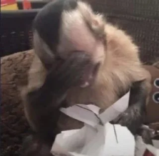 Стикер Mono 2 - 7