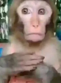 Стикер Mono 2 - 11