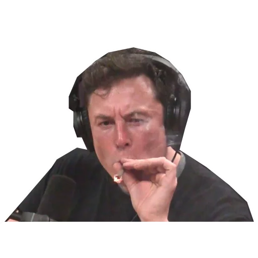 Sticker Elon Pothead - 7