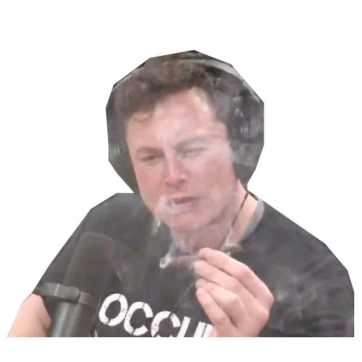 Sticker Elon Pothead - 3