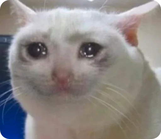 Sticker elpegatinasspectacularrrr - 1