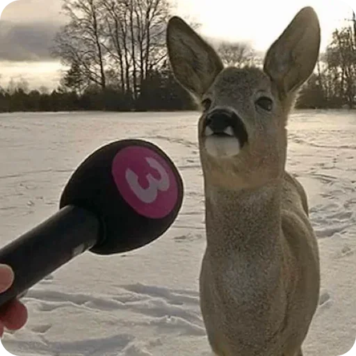 Sticker elpegatinasspectacularrrr - 1