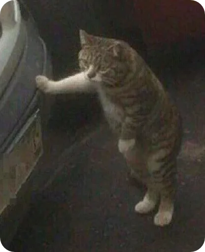 Sticker elpegatinasspectacularrrr - 1