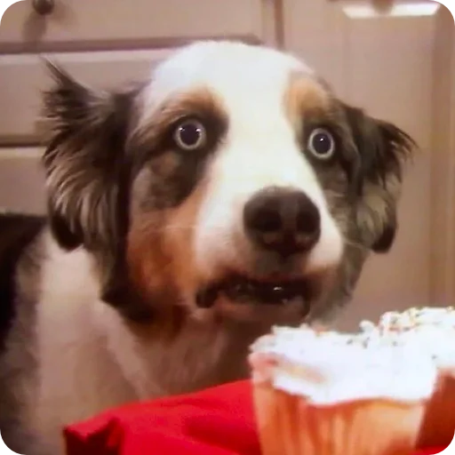 Стикер el paquete de pegatinas spectacularrrr - 10